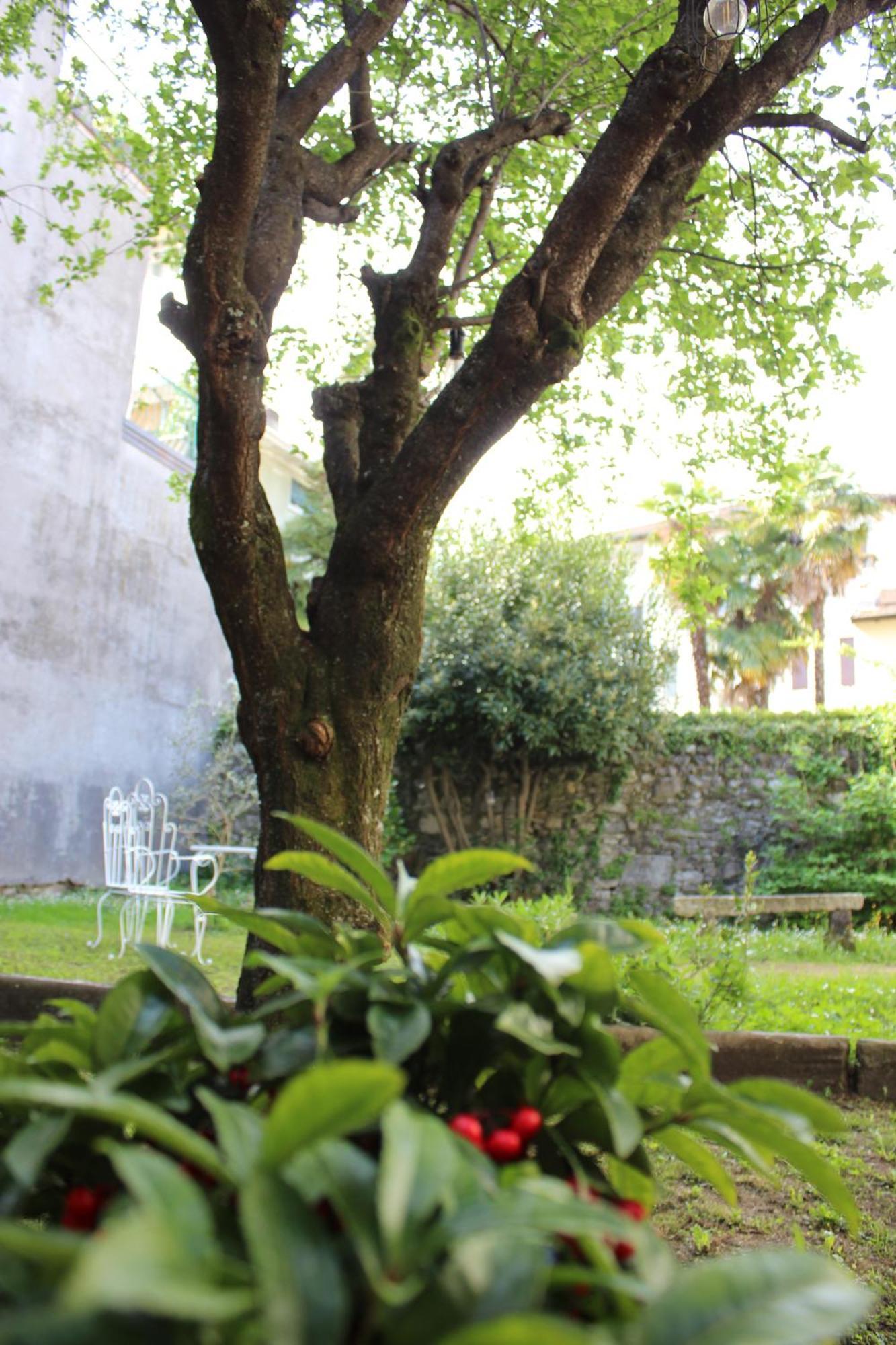 Apartament La Casa Di Tita Stresa Zewnętrze zdjęcie